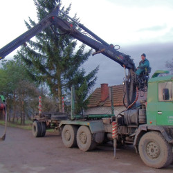 Jeřáby